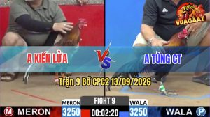 Trận 9 CPC2 13/09/2026 – Anh Tùng Siết 1 Hơi, Hạ Gọn Anh Kiến Lửa