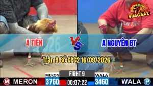 Trận 9 CPC2 16/09/2026 – Anh Nguyên BT Đối Đầu Với Anh Tiến