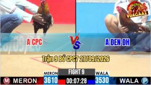 Trận 9 CPC2 28/09/2026 – Anh Đen Siết Mấy Chân Hạ Gục Đối Thủ