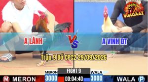 Trận 9 CPC2 29/09/2026 – Anh Lành Hạ Anh Vinh Nhanh Gọn