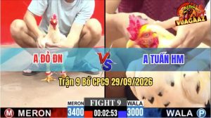 Trận 9 CPC9 29/09/2026 – Anh Tuấn HM Chấp Anh Đỏ ĐN 4 Chấm