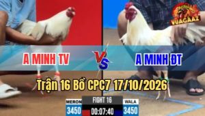 Trận 16 CPC7 17/10/2026 – Đỏ dùng tuyệt chiêu nuôi ói xanh idol vẫn dí cho sợ chạy