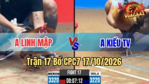Trận 17 CPC7 17/10/2026 – Cú ra chân như sam sít khét đuôi lao cong đít chạy về nhà