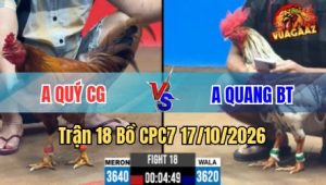 Trận 18 CPC7 17/10/2026 – Bông chà mấy chân đâm đỏ cây lọt bỏ chạy
