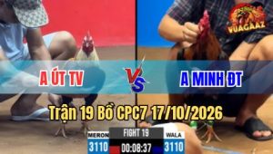 Trận 19 CPC7 17/10/2026 – Chuối ra chân nghiệt ngã đâm đúng tim ha gục mau lẹ