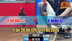 Trận 20 CPC7 17/10/2026 – Idol thả cọp ra sân vừa buông tay liền kết liễu đối thủ