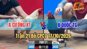 Trận 21 CPC7 17/10/2026 – Phút cuối điều phản cựa hay bướm thua ngay tức thì