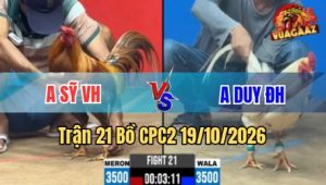 Trận 21 CPC2 19/10/2026 – Phút cuối đỏ đá cây nghiệt kéo anh em về bờ