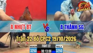 Trận 22 CPC2 19/10/2026 – đỏ dí bạc ăn 6 xanh đá cho đem đi nấu cháo