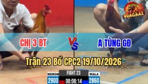 Trận 23 CPC2 19/10/2026 – Khét đá cây ngay đầu xanh giãy chết tại chỗ