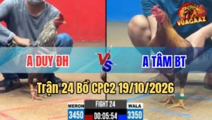 Trận 24 CPC2 19/10/2026 – xanh vừa buông đuôi chà đỏ mấy chân té cắm đầu