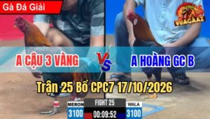Trận 25 CPC7 17/10/2026 – Buông tay xanh canh chặn hay đỏ gục sân chịu trận