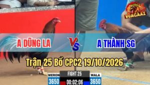 Trận 25 CPC2 19/10/2026 – đỏ cọp đá chân nào giết đối thủ chân đó quá gê