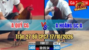 Trận 27 CPC7 17/10/2026 – Thả cọp ra sân đỏ dùng 3 chân chiến thắng nhẹ nhàng