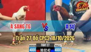 Trận 27 CPC2 18/10/2026 - Buông tay bướm đâm hư giò điều nằm bò giữa sân