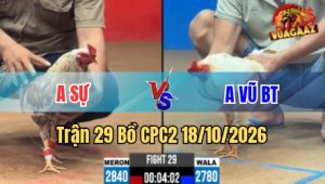 Trận 29 CPC2 18/10/2026 - Đỏ đá bạc láo bị chủ mang về nấu cháo