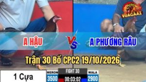 Trận 30 CPC2 19/10/2026 – Chỉ 1 tay nước đỏ đâm xanh hư mình nằm gục sân hết sửa