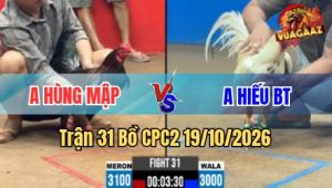 Trận 31 CPC2 19/10/2026 – Điều canh chặn hay chỉ 1 tay nước dìu bướm về nhà