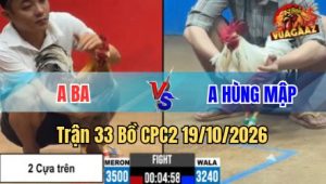 Trận 33 CPC2 19/10/2026 – Cú chấp cựa ngông bướm tông cứ ói máu mau lẹ