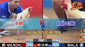 Trận 1 CPC2 02/10/2026 – Idol Bảo Sting Tung Hàng Hiệu Đá Nhanh Gọn
