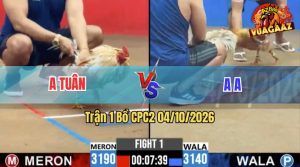 Trận 1 CPC2 04/10/2026 – Gà Anh Tuân Mở Màn Quá Thuận Lợi