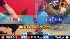 Trận 1 CPC2 05/10/2026 – Anh ĐIền LA Gặp Anh Cường Ở Trận Mở Màn