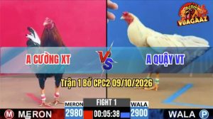 Trận 1 CPC2 09/10/2026 – Gà Bông Anh Cường Mở Bát Quá Mát Tay