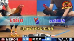 Trận 10 CPC2 02/10/2026 – Anh Toàn BT Gặp Anh Khanh RG