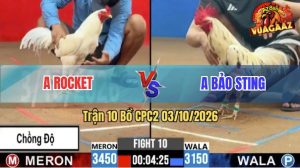Trận 10 CPC2 03/10/2026 – Gà Bướm Idol Bảo Sting Chồng Độ