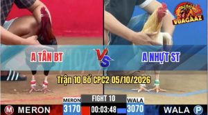 Trận 10 CPC2 05/10/2026 – Gà Điều Anh Tâm Đá Chân Nào Cũng Có Cựa