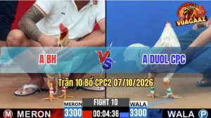 Trận 10 CPC2 07/10/2026 – Anh Duol CPC Đụng Với Gà Của Bồ