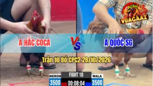 Trận 10 CPC2 28/10/2026 – Anh Hắc Coca Không Cho Anh Quốc Cơ Hội