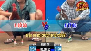 Trận 10 CPC2 Ngày 11/10/2026 trên Vua Gà AZ