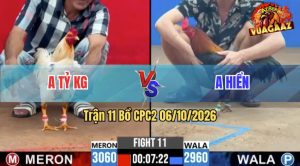 Trận 11 CPC2 06/10/2026 – Gà Điều Anh Hiển Đá Bươi Chà Đúng 3 Chân