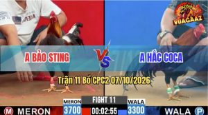 Trận 11 CPC2 07/10/2026 – Idol Bảo Sting Lại Lụm Anh Hắc Coca