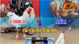 Trận 11 CPC2 22/10/2026 – Anh Thành Làm Thịt Anh Sĩ Nhanh Gọn