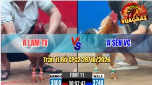 Trận 11 CPC2 28/10/2026 – Gà Khét Anh Sen VC Đâm Như Đời Tới