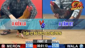 Trận 12 CPC2 02/10/2026 – Anh Tâm BT Hạ Gọn Anh Kiên LA
