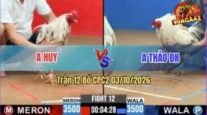Trận 12 CPC2 03/10/2026 – Anh Thảo ĐH Thắng Anh Huy Trong Vất Vả
