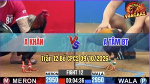 Trận 12 CPC2 09/10/2026 – Anh Tâm Làm Thịt Anh Khàn Nhẹ Nhàng