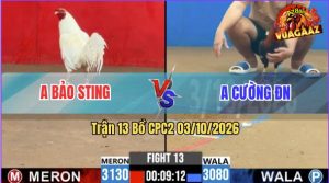Trận 13 CPC2 03/10/2026 – Gà Úa Anh Bảo Sting Đá Chân Nào Cũng Đâm