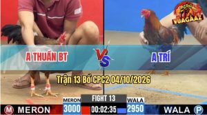 Trận 13 CPC2 04/10/2026 – Gà Anh Thuần Gồng Gánh Ăn Phút Cuối