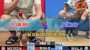 Trận 13 CPC2 09/10/2026 – Anh Tùng GĐ Đụng Độ Với Anh Sơn Đào