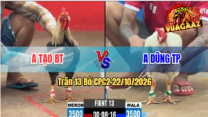 Trận 13 CPC2 22/10/2026 – Anh Dũng Không Cho Anh Tạo Cơ Hội Nào