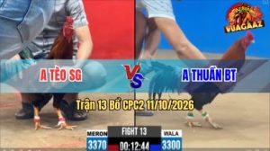 Trận 13 CPC2 Ngày 11/10/2026 Vua Gà AZ