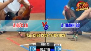 Trận 13 CPC2 Ngày 12/10/2026 trên Vua Gà AZ