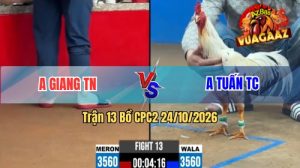 Trận 13 CPC2 Ngày 24/10/2026 Trên Vua Gà AZ