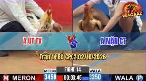 Trận 14 CPC2 02/10/2026 – Gà Khét Anh Mận Bươi Chà Như Cái Máy