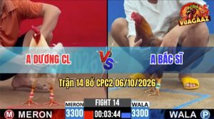 Trận 14 CPC2 06/10/2026 – Gà Úa Anh Dương Có Pha Lội Ngược Dòng