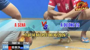 Trận 14 CPC2 08/10/2026 – Anh Dương Hạ Anh Sena Trong 3 Nốt Nhạc
